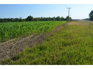 Property photo 48 - 64 Acre Farm Offered in 4 Tracts or in Combinations - Real Estate Auction